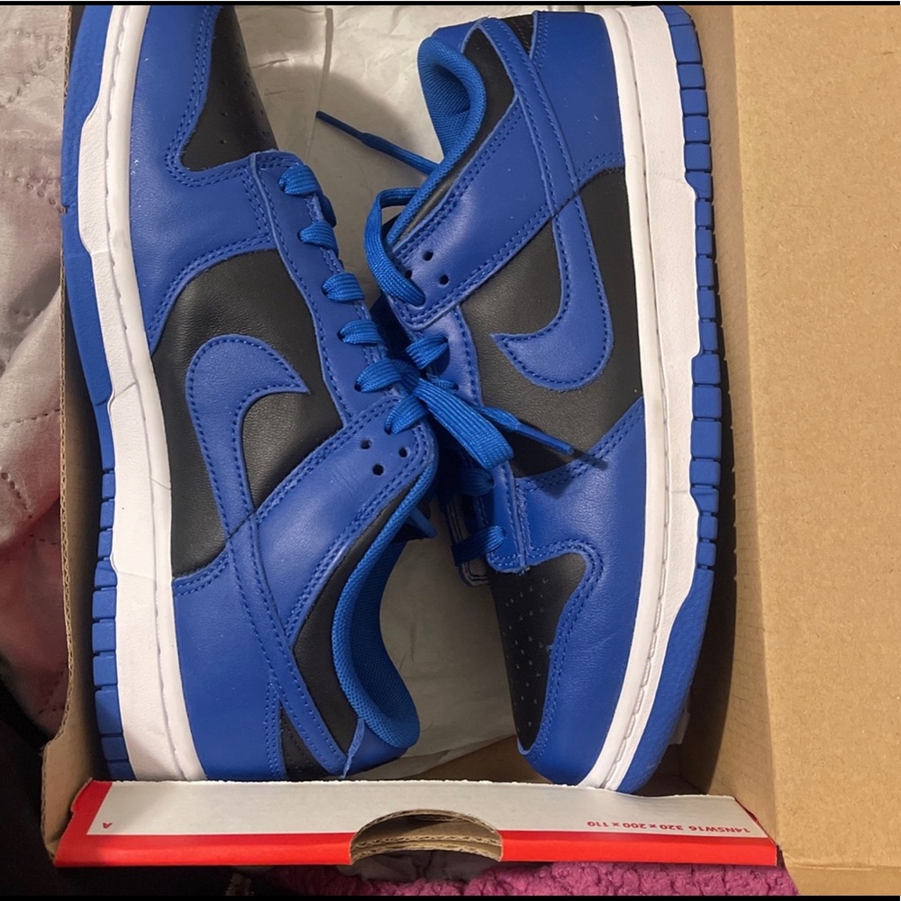 Nike cobalt Dunks